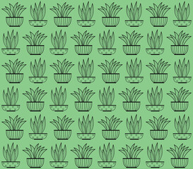 Plants background pattern. Organic decorative home plants and tropical plants background pattern. Hand drawn seamless pattern. Hand drawn abstract leaves pattern. 