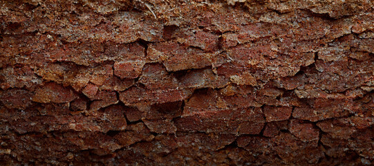 brick wall texture background