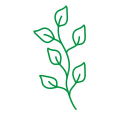illustration of a green plant