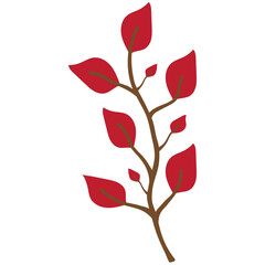 red branch of a tree