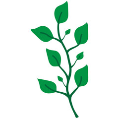 green leaves isolated on white background