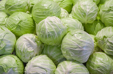 Fototapeta na wymiar Stacking cabbage in pile in harvest season