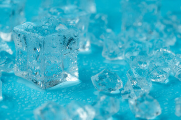 Ice cubes and ice shards with water drops on a blue background. The concept of cold and freshness