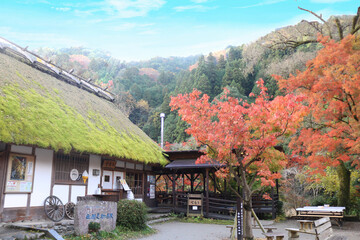 Fototapeta na wymiar [愛知県]豊田市香嵐渓の紅葉と茶屋