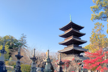 Fototapeta premium [愛知県]名古屋市昭和区の八事山興正寺