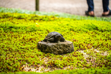 神奈川県鎌倉市　明月院の風景　　
