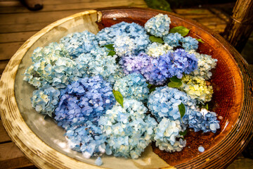 神奈川県鎌倉市　明月院(あじさい寺) 　
