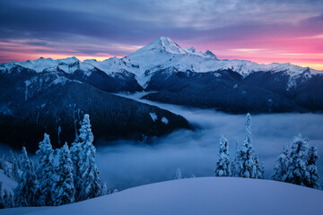 Snow-covered Mt.Baker bathing in sunset color with cloud inversion in the valley - obrazy, fototapety, plakaty