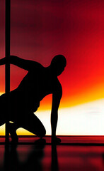 Fototapeta na wymiar silhouette of a person in a jump