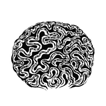 Brain coral drawn in black ink. The texture of the brush and paint. 