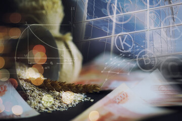 The concept of the cost of grain. 5000 ruble banknotes around a handful of ground grain. World...