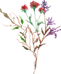 wild flower watercolor