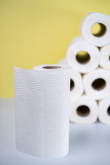 toilet or paper towel isolated on white background.