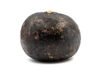 Black radish isolated on a white background. Clipping Path. Full depth of field. close up