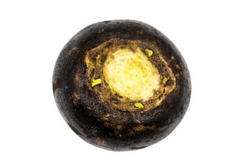 Black radish isolated on a white background. Clipping Path. Full depth of field. close up