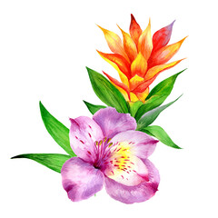 
Watercolor bouquet of tropical flowers and leaves isolated on white background.