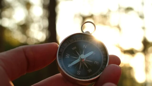 Compass in hand on natural pine forest background. hand holding compass in forest landscape. Young traveler searching direction with compass in summer mountains.