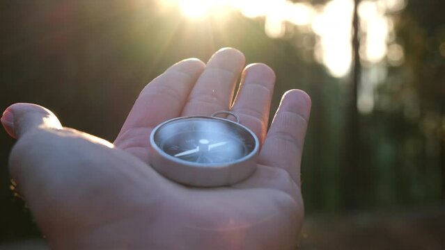Compass in hand on natural pine forest background. hand holding compass in forest landscape. Young traveler searching direction with compass in summer mountains.