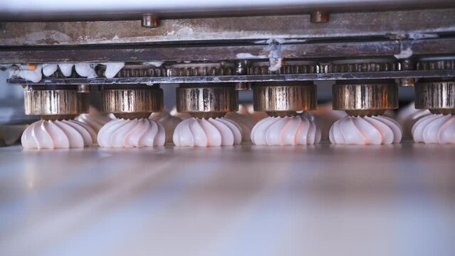 Making marshmallows. souffle with a pastry nozzle. Automatic machine for the production of sweet products in a food factory.