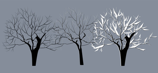 Leafless branch.Snow covered tree.Silhouette of a tree in winter