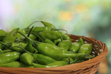 Bowl of Fresh Aji Limo Chili Peppers outdoors