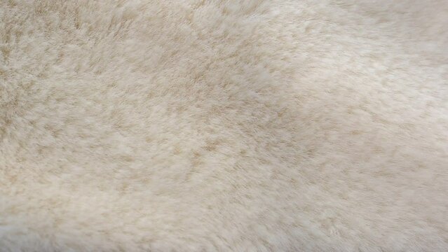 close up of fur