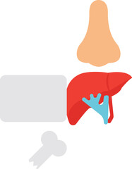 Human Liver Vector Icon
