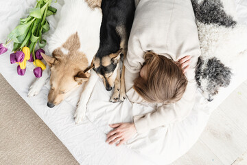 young woman wearing pajamas lying in the bed with her dogs, top view