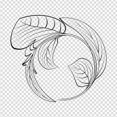 abstract hand drawn leaf wit round circle, flowers vector, black leav