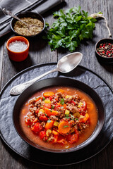 Hamburger Soup with barley and vegetables in bowl