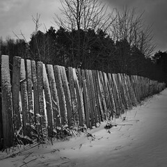 An old wooden fence in the winter forest.