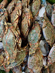 lobster pots at the market