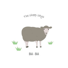 Flat realistic character of white sheep. Domestic animal illustration with text Sheep says Baa. Educational illustration for children with farm animal