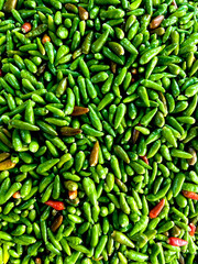 green hot chili peppers