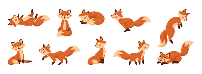 Cute fox, animal in different poses. Red forest characters, cunning foxy wildlife, nature fun standing beautiful mammal. Orange fur color. Isolated mascot set. Vector cartoon tidy illustration