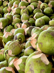 huge pile of green coconuts, Chiang Mai, Thailand