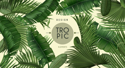 Tropic palm leaf frame, spa plants background. Realistic forest jungle wallpaper, summer green tree poster template, monstera and banana leaves hawaii nature. Vector illustration exact design