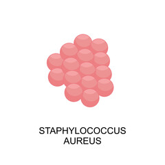Staphylococcus aureus icon. Staphylococcus aureus bacterium in flat style. Bacteria of Staphylococcus aureus icon. vector illustration