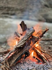 fire in the forest