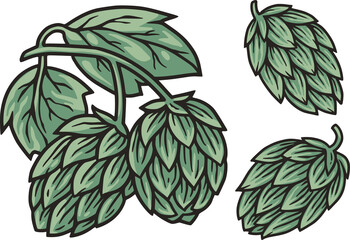 Beer hop for craft design of print. Original set of hops for beer bar, pab or brewery
