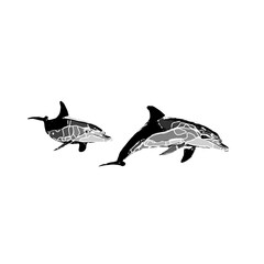 Dolphin black and white drawing design with color border and transparent background
