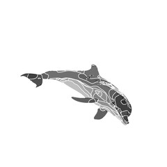 Dolphin black and white drawing design with color border and transparent background