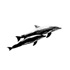 Fototapeta na wymiar Dolphin black and white drawing design with color border and transparent background