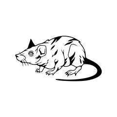 rat illustration vector with concept