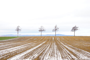 Winter View of Field in Hokkaido, Japan - 日本 北海道 農場 冬 畑	
