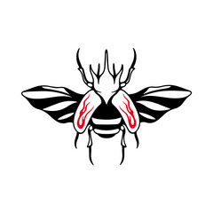 vector illustration of a beetle with wings