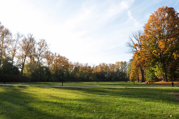 Picturesque view of park with beautiful trees and green grass on sunny day. Autumn season