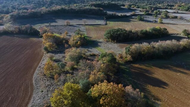 Agricultural landscape of forest and crops seen from a drone in Colina de Losa. Losa Valley. Traslaloma Board. Las Merindades, Burgos, Castilla y Leon, Spain, Europe