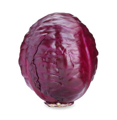One fresh ripe red cabbage isolated on white