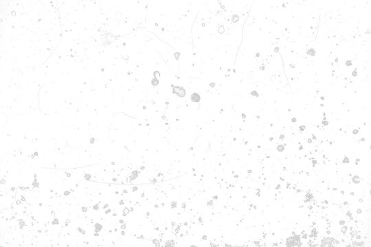 Light gray and white  dust and scratches template on transparent background (png image). Useful for design, vintage film effects, and backgrounds